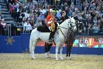Cavalry - 00112